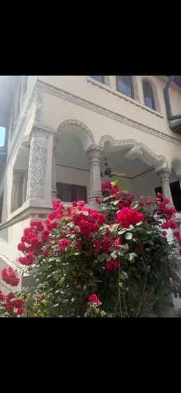 Casa Stil neoromanesc - 8
