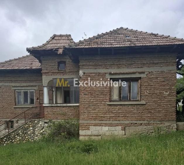 Casă cu Teren 4226 Mp în Băbana