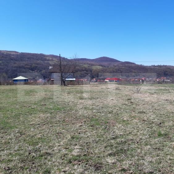 Teren agricol extravilan de 901 mp, în Valea Drăganului