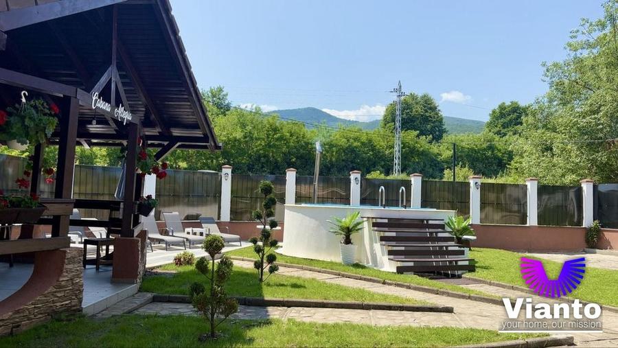 Casă cu 4 camere cu Piscina în Sadu