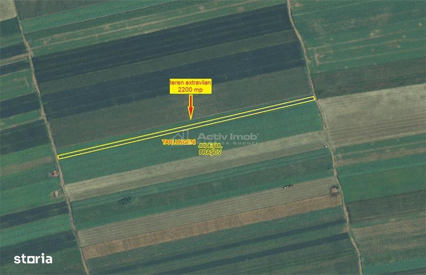 oportunitate, arabil zona de boom imobiliar Izvor, drum acces pietruit - 2
