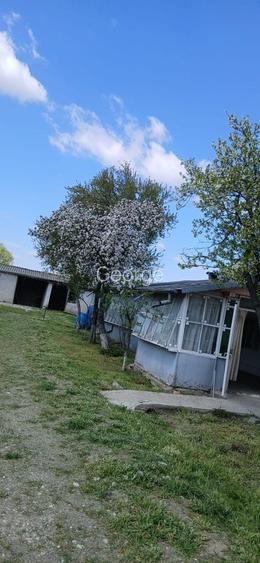 Casa + teren Cosereni Ialomita suprafata 2085 mp str.Cerbului nr.48