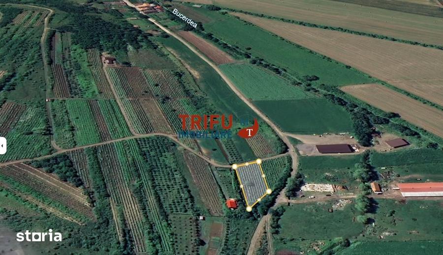 Teren de 1400 mp, în Ighiu