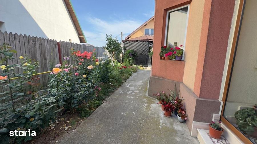 Casă cu 7 camere cu Teren 1388 Mp în Bradu
