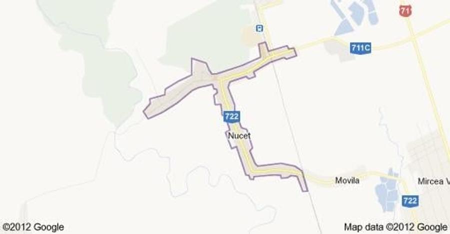 Teren de 9195 mp, în Nucet