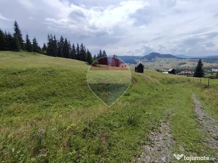 Teren 33,364mp Dorna Candrenilor / Strada Strugurel - Dorna Candrenilor (Suceava) - 5