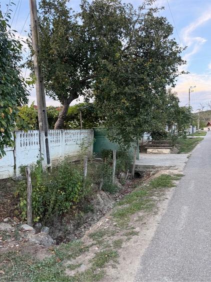 Casă cu 3 camere cu Teren 1000 Mp în Săulești