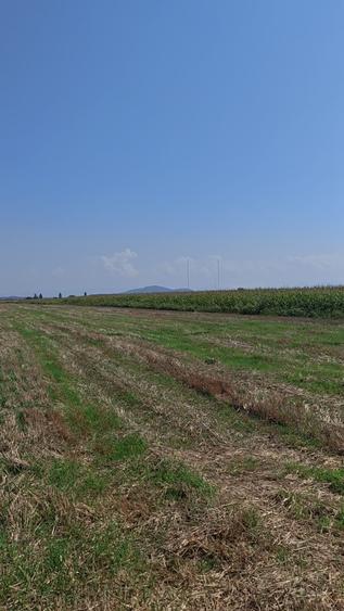 Teren agricol sau zona agrement HALCHIU - langa Lacuri si Balastiera - 4