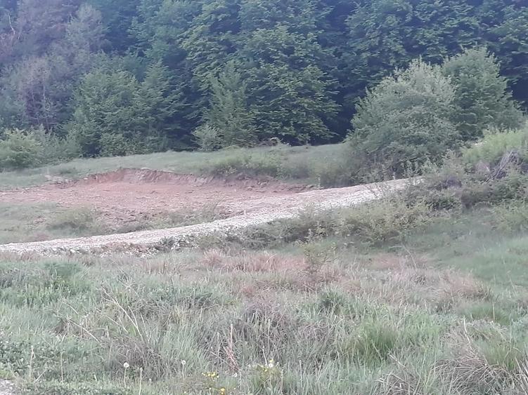 Teren de 807 mp, în Schiau