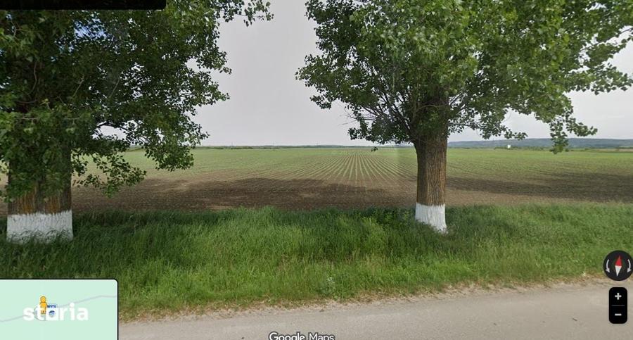 Teren de 450000 mp, în Probota