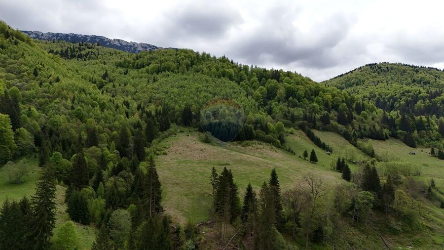 Teren agricol extravilan de 48297 mp, în Sătic