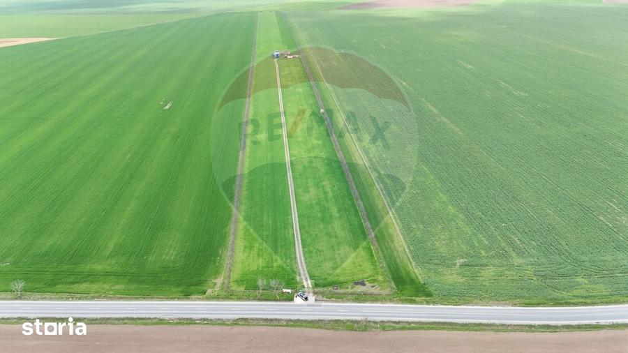 Teren de vanzare in Sacele ideal pentru silozuri, ferma 6 ha - 8