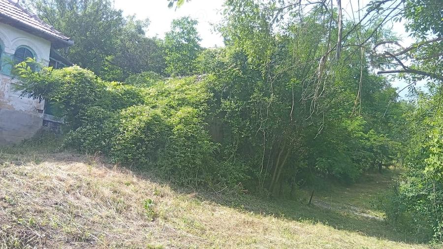 Casă cu Teren 9515 Mp în Dăești