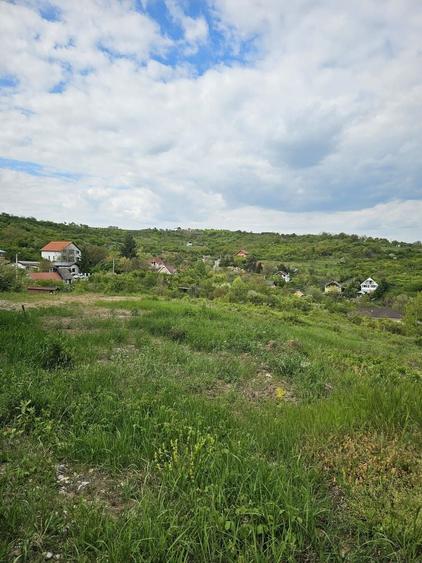 Teren agricol intravilan de 7000 mp, în Dealuri Oradea