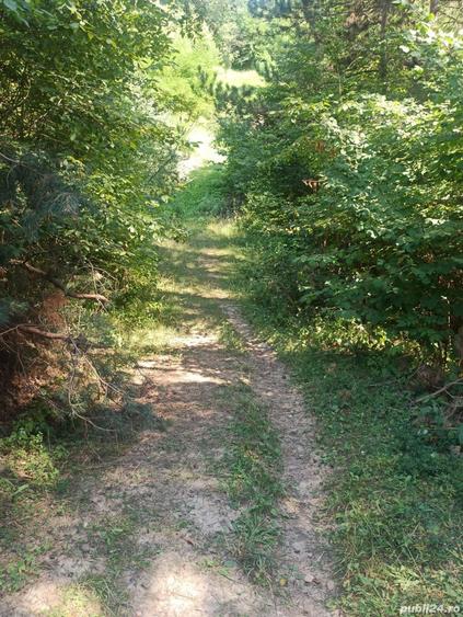 Teren de 1170 mp, în Ruginești