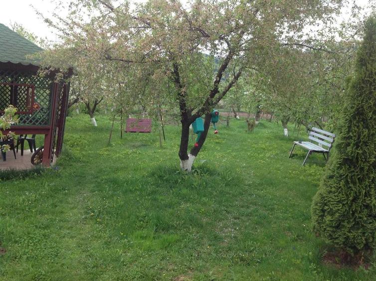 Casă cu 4 camere în Vad