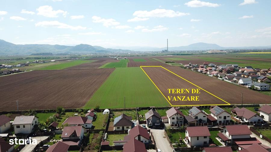 Teren de 29200 mp, în Tărlungeni