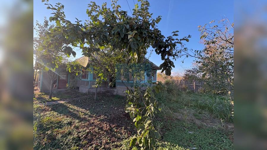 Casă cu 4 camere cu Teren 2740 Mp în Târgșoru Nou