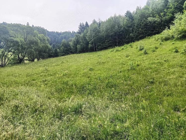 Teren extravilan de vanzare - 2