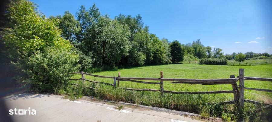 Teren de 1330 mp, în Negrești