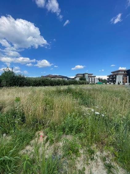 Teren Construcții intravilan de 1456 mp, în Tăuții-Măgherăuș