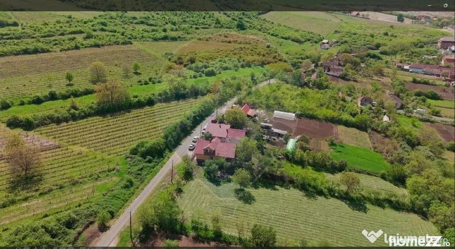 Teren în Șiria