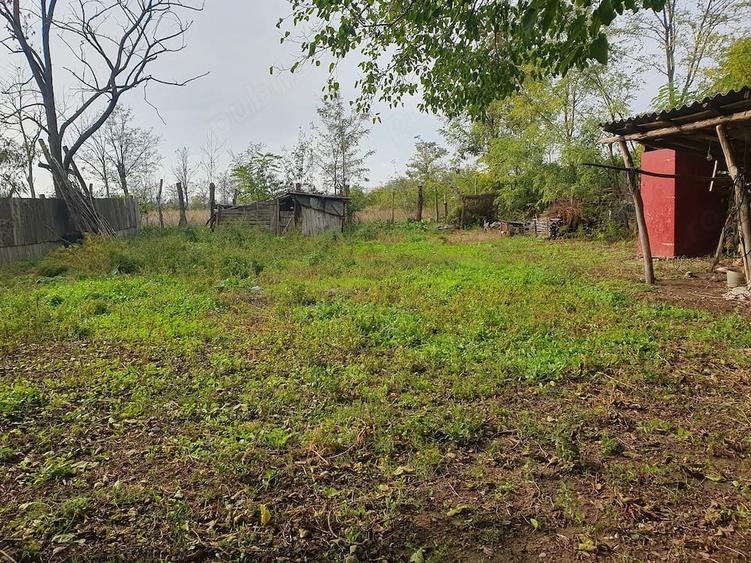 Teren de 3000 mp, în Cudalbi