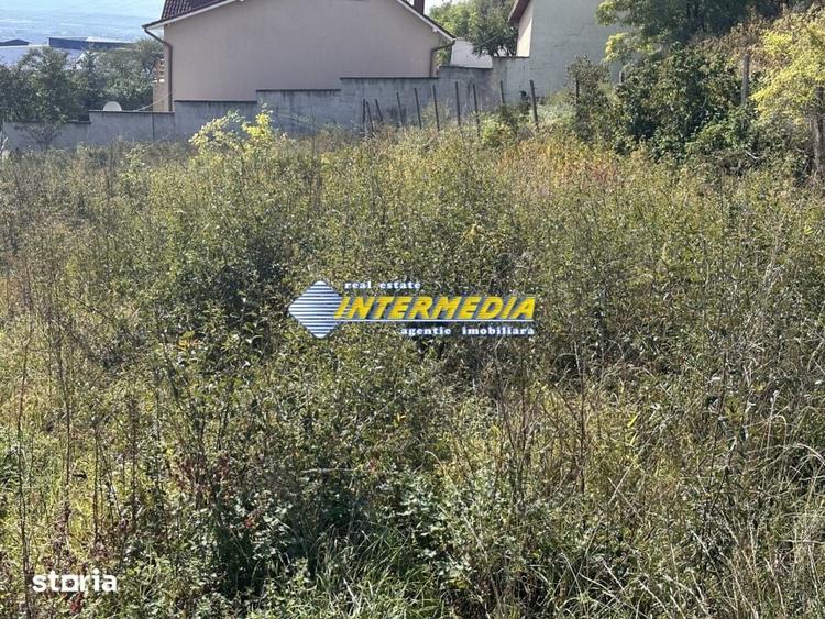 Teren intravilan I de vanzare I in Cetate I zona superba I 500 mp I - 3
