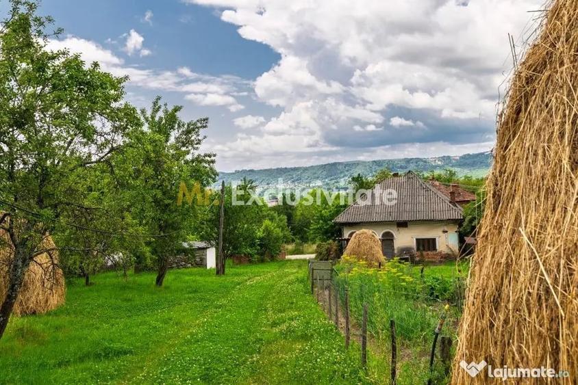 Casă cu 3 camere cu Teren 6290 Mp în Corbi