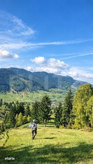 Teren de 22870 mp, în Stoicănești