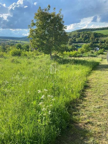 Teren agricol intravilan de 500 mp, în Bărdești