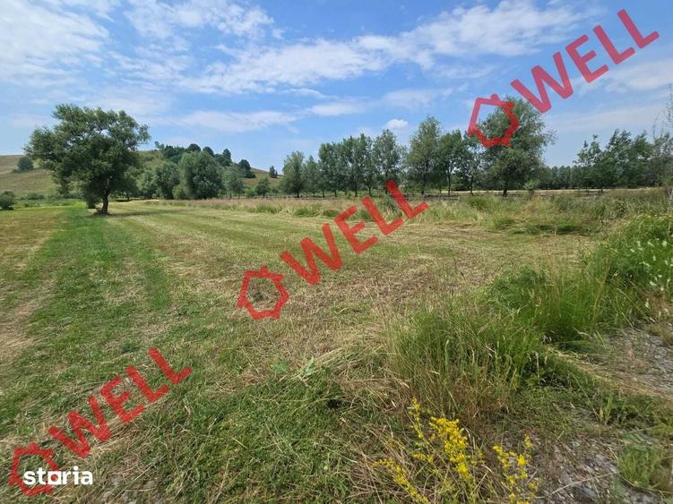 Teren de 2400 mp, în Barcani