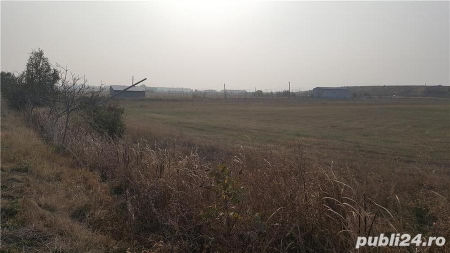 Vand inchiriez intravilan Golesti,la 3 km de Focsani, 23 m deschidere DN2 E85,17euro mp - 5