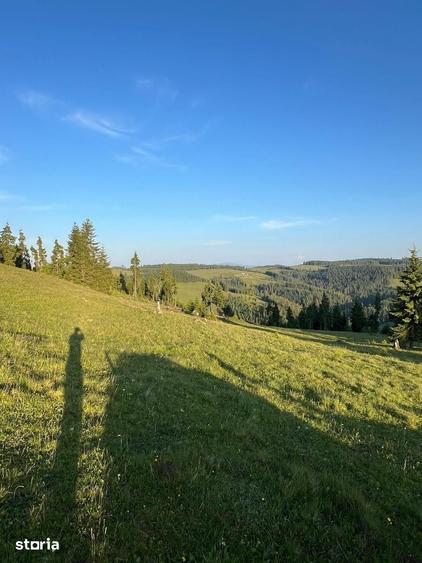 Teren de 500000 mp, în Ciocănești
