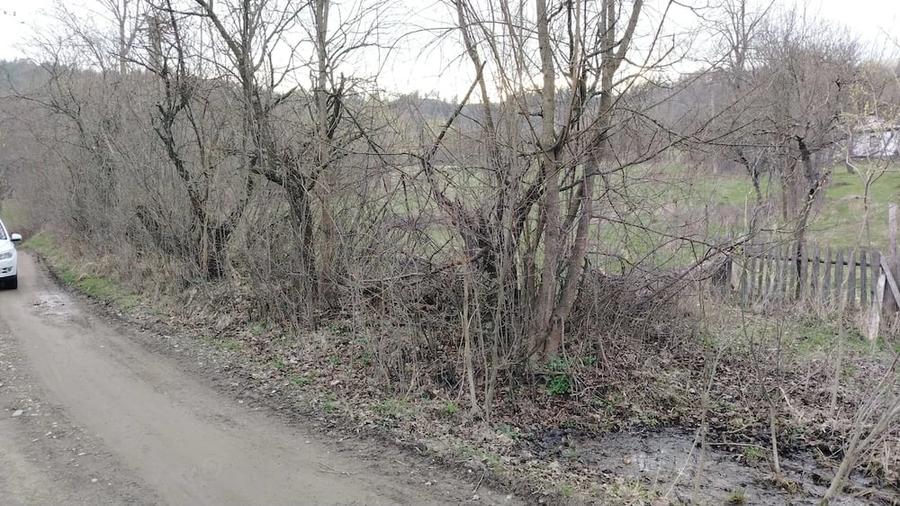 Teren de 4200 mp, în Bisoca