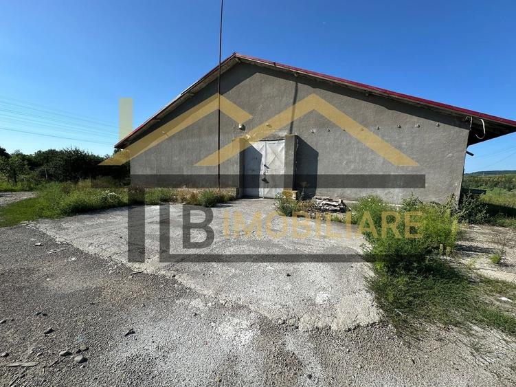 Spațiu industrial, de 1,061 mp, în Dumbrăvioara