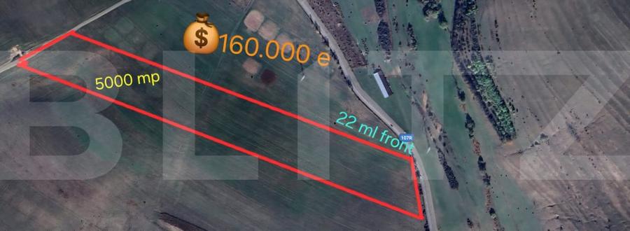 Teren de investitie in localitatea Ciurila - 1
