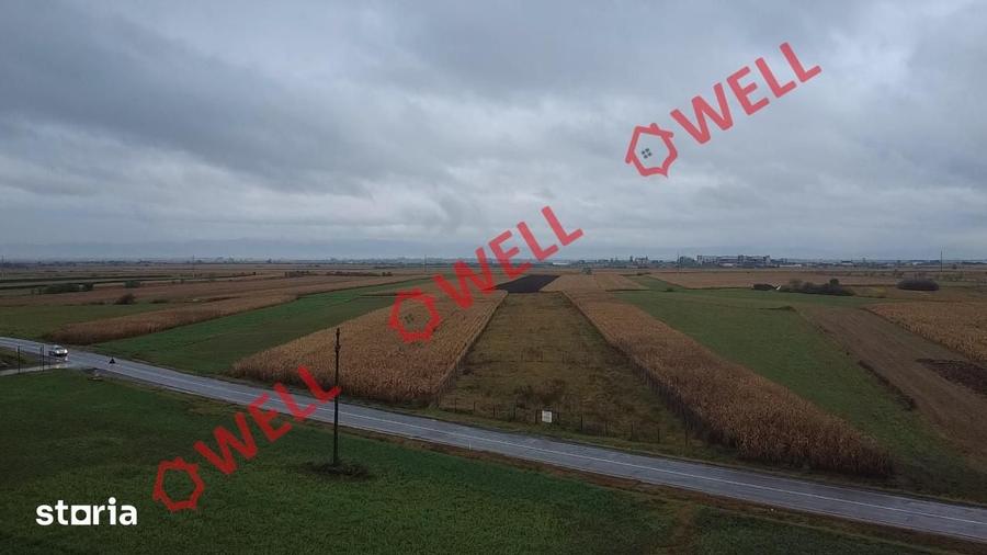 Teren de 6300 mp, în Central