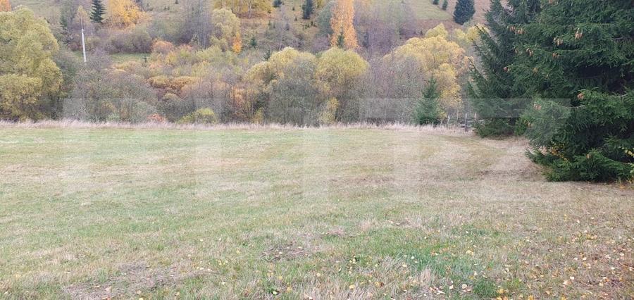 Teren Construcții intravilan de 4000 mp, în Panaci
