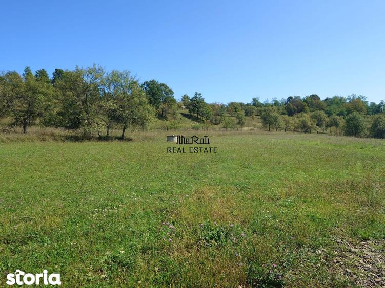 Teren de 8757 mp, în Luncoiu de Jos