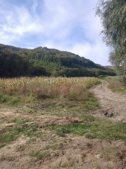 Teren de 5600 mp, în Nord