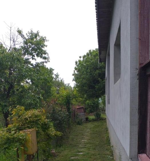 Casă individuală cu 5 camere cu Canalizare în Ocoliș
