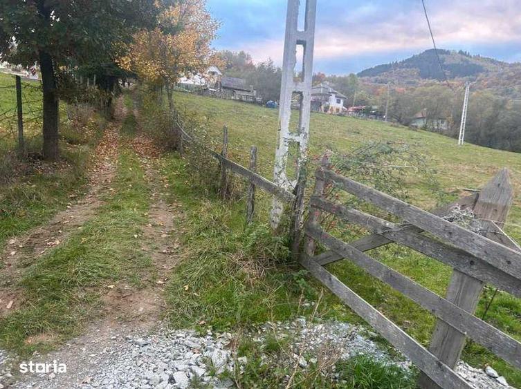 Teren de 5800 mp, în Lupșa