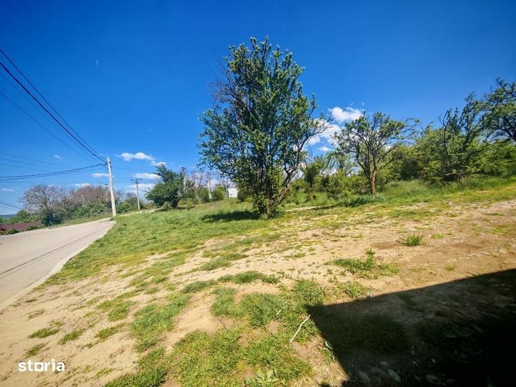 Spațiu comercial, în Central