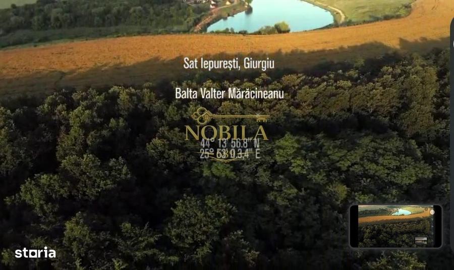 Spațiu comercial, în Iepurești