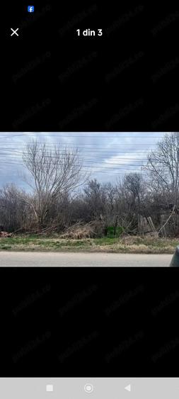 Teren de 3000 mp, în Calopăr