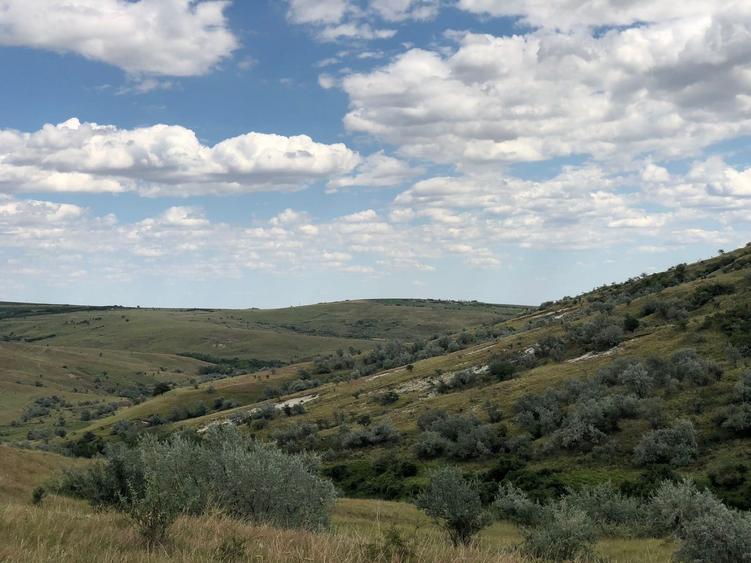 Teren agricol extravilan de 500000 mp, în Tohani