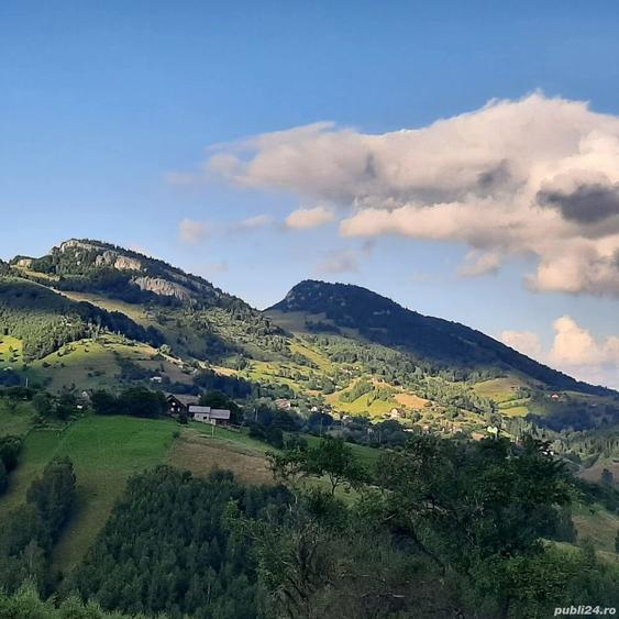 Teren de 7200 mp, în Peștera