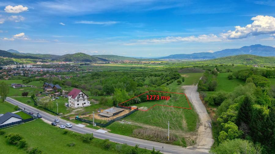 Teren Construcții intravilan de 1273 mp, în Tohănița