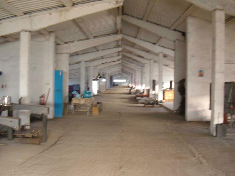 Spațiu comercial, de 2,300 mp, în Panic